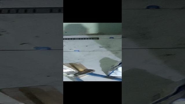 БарнЛайф 35.mp4