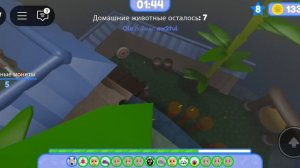 побег питомца