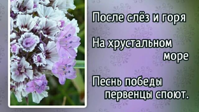 Книги заветной мечты. Заветная 15. Заветная 15. Книги по мультфильмам. Город армавир поселок заветный улица молодежная, дом 3.