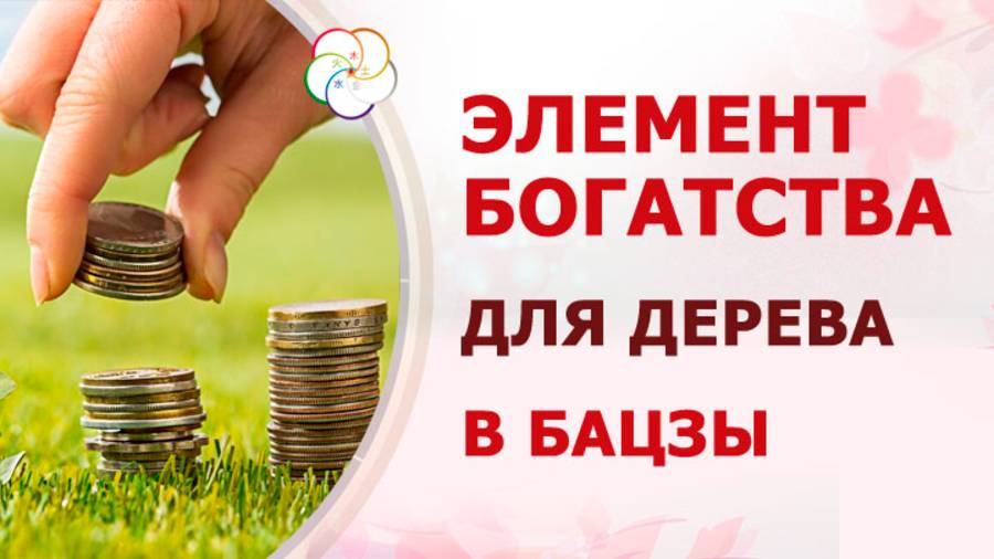ДЕРЕВО + ДЕНЬГИ в Бацзы: Как укоренить финансовую удачу в 9 периоде