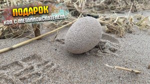 РОЖДЕСТВЕНСКИЙ ПОДАРОК|КОП С МЕТАЛЛОИСКАТЕЛЕМ