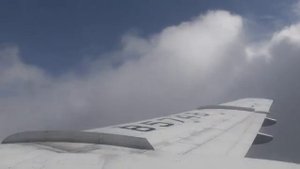 Взлет Ту-154 Белавиа из аэропорта Домодедово