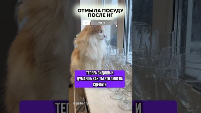 Отмыла посуду