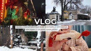 VLOG // КАЛИНИНГРАДСКИЙ ЗООПАРК // ОГРАБИЛА МАГАЗИН // ПРОБУЮ МАРЦИПАН