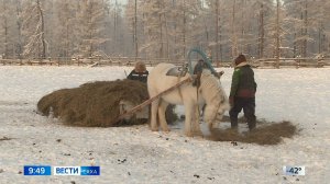 09:30 ВЕСТИ САХА 16/01/25 НА ЯКУТСКОМ ЯЗЫКЕ