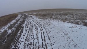 Охота на зайца №41