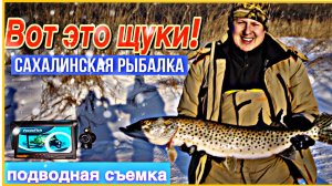 Вот это щуки! Рыбалка на машинах.