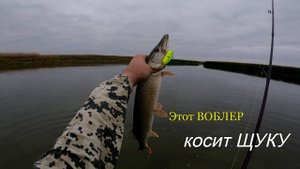 Осенняя рыбалка. Щучка с утра отказывалась ловиться, но поставил эту приманку и понеслось.