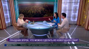 Что можно сделать из новогодней ёлки?