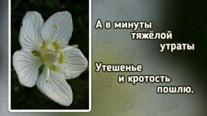 372 Не оставлю Я вас, не забуду (-)