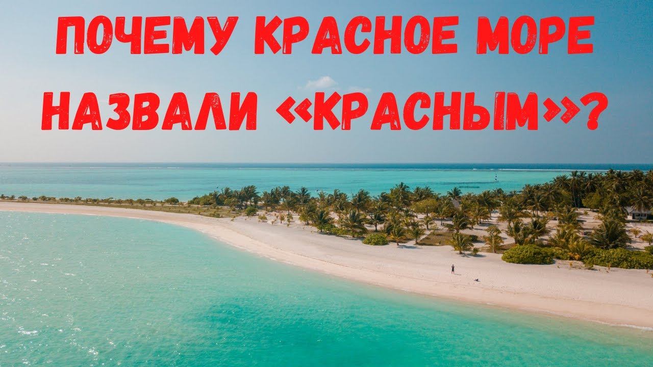 Почему Красное море назвали «красным»?