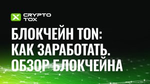 TON: как заработать, обзор блокчейна, кошельки, DeFi. STON.fi, DeDust, EVAA