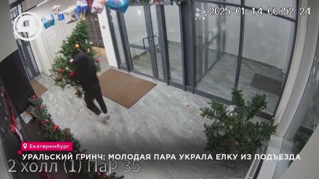 Уральский Гринч: молодая пара украла елку из подъезда