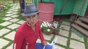 6 соток 13 июня 2020 года. Хроника.