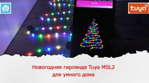 Новогодняя гирлянда для умного дома Tuya MSL2 на адресных светодиодах длинной 10 метров.