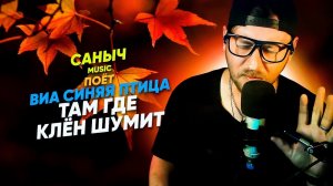 Саныч Music поёт: ВИА Синяя птица - Там где клён шумит