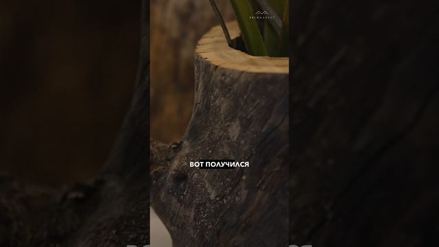 📍Как использовать бревно Кело для декора интерьера: креативные идеи