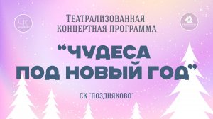 "Чудеса под Новый год" театрализованная концертная программа