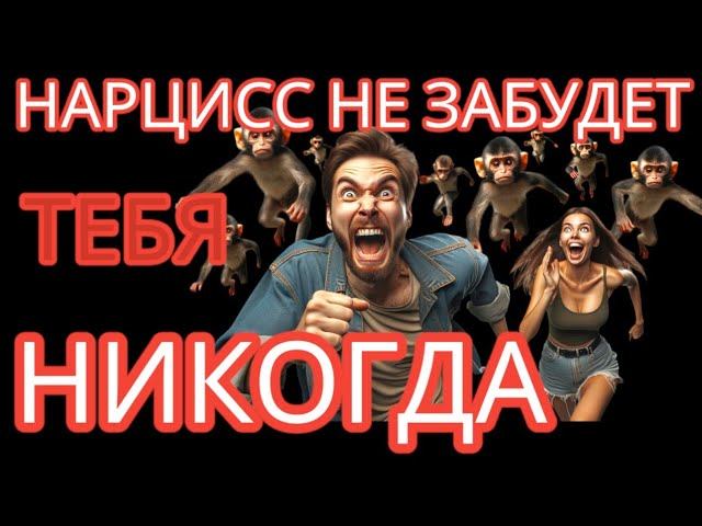 Если Вы расстались с НАРЦИССОМ, Он НИКОГДА не Забудет ВАС #нарцисс #нарциссбросил #расставаниеболь смотреть онлайн