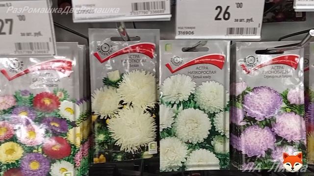 16.01.2025  НАЧАЛОСЬ 🌹💐🌺