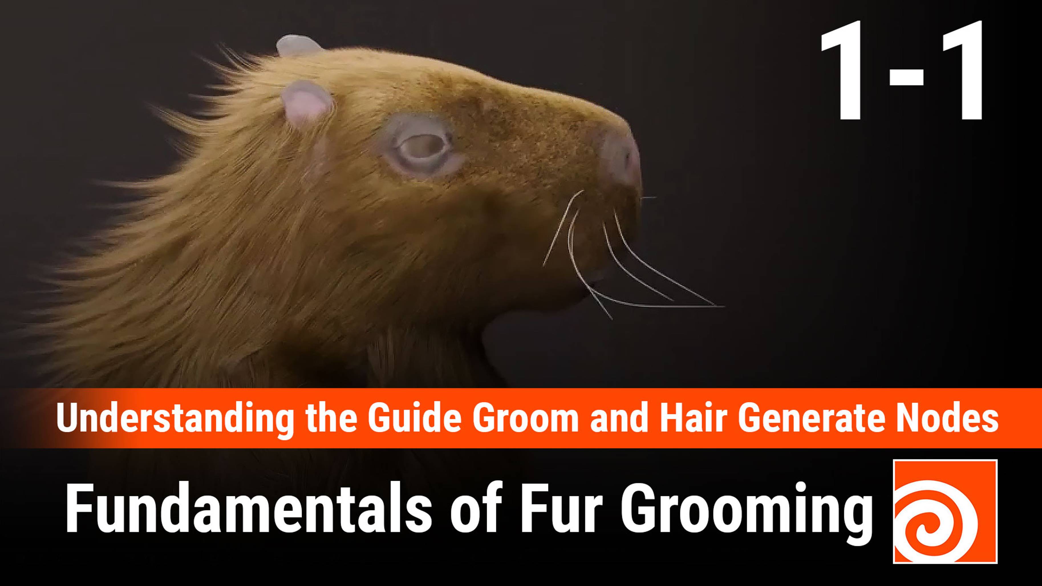 Fundamentals of Fur Grooming in Houdini 
1 - Understanding the Guide Groom and Hair Generate Nodes