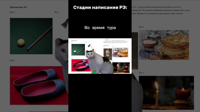 Тесты на олимпиадах — смерть... #мем #литература #всош #ответыРЭ #РЭ #вош #стертыекалачи