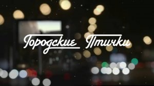 Городские птички (2015)