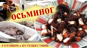 Как приготовить осьминога (рецепт от греческих рыбаков)