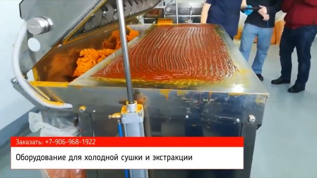 Стол сушильный вакуумный импульсный для сушки пастообразных продуктов (экстракт, пюре, паста, фарш)