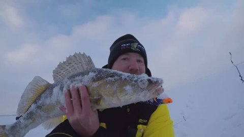 Ловля судака на вибы. Судак на ратлин зимой.