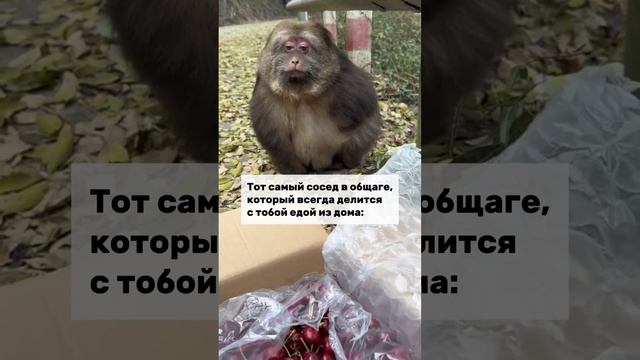 Сосед в общаге