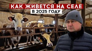 Как живется на селе в 2025 году