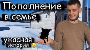 Пополнение в семье