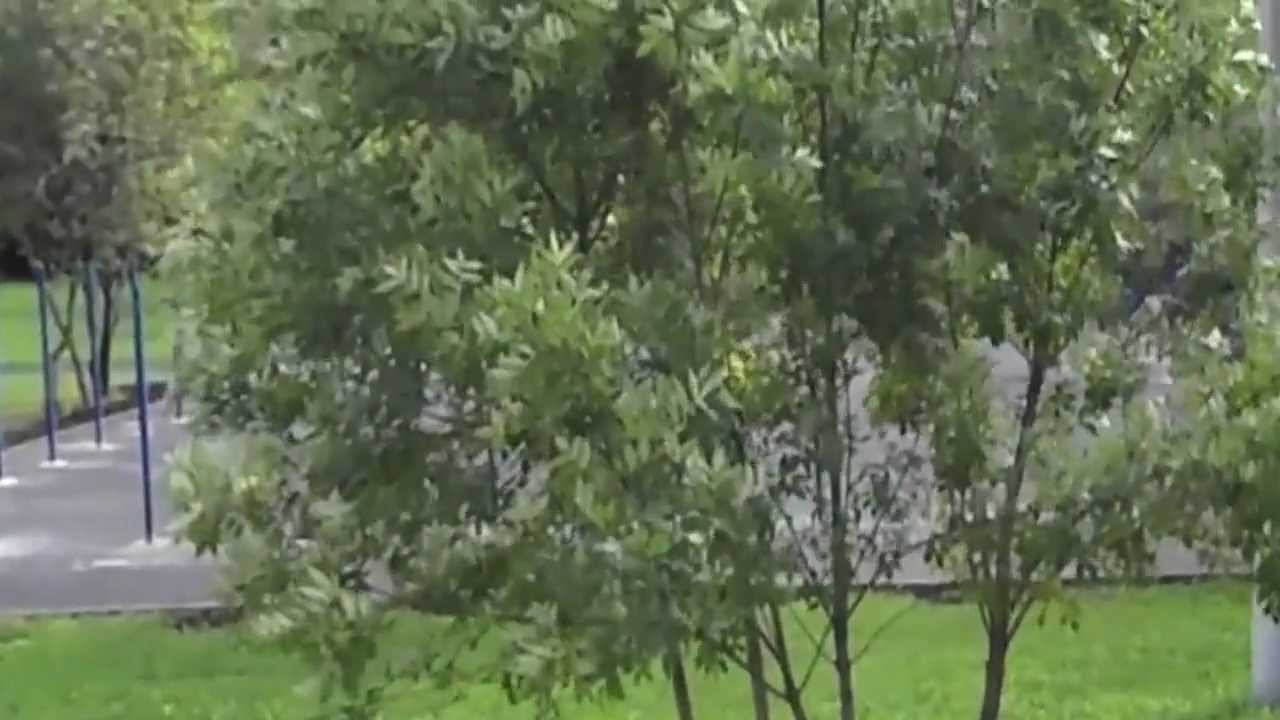 коптер у школы