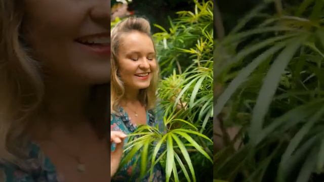 Песенка о медведях - Анна Воронцова #ретро #вокалистка #кавер #ПевицаАннаВоронцова
