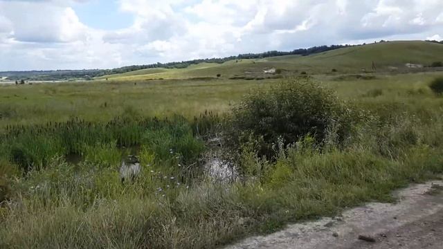 Лозновский пруд смотреть онлайн