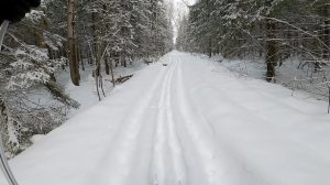 Лыжня 43 км - Раменское