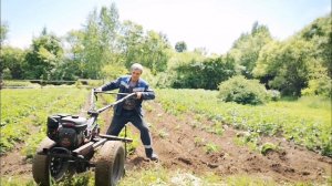 Второе окучивание картофеля дисками 2023