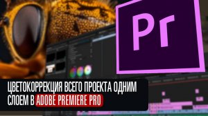 Цветокоррекция одним слоем в Adobe Premiere Pro