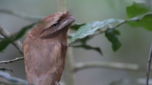 5570166-uhd_3840_2160_30fps