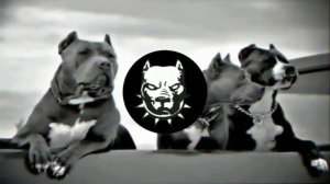 Azeri Bass Music 2019 Hamının Axtardığı ''O" Rus Mahnısı Буйна Голова