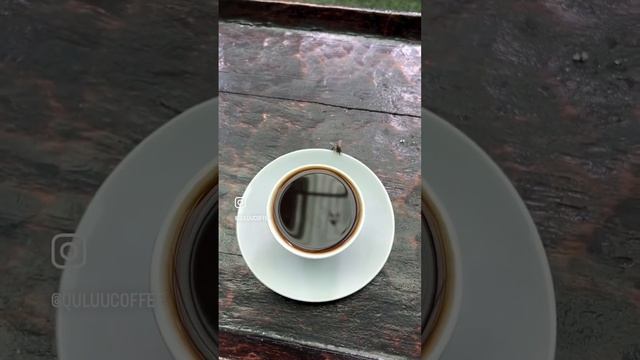 Freshly brewed ‘Buna Jabana’ in Finfinnee, Oromia, Ethiopia. #quluucoffee #ethiopiancoffee #oromo смотреть онлайн