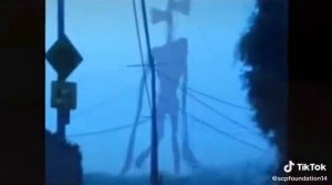 серьена галовый забирает джэкпот