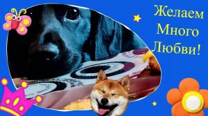 Наш любимый песик! С днем рождения!