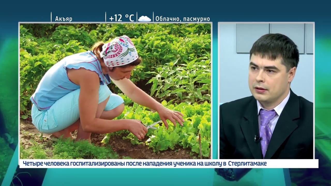Здоровая среда о болях в колене. Врач  травматолог-ортопед Каюмов Айдар Рашитович  18.04.18