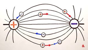 Электрическое поле   Физика в опытах и экспериментах