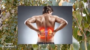 Оказывается подагра боится обычной ... Как избавиться от мочевой кислоты ?