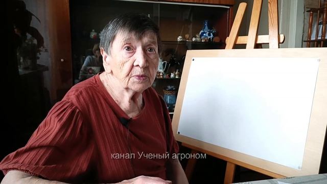 Малина.  Как правильно выбрать саженцы малины.