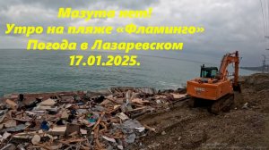 Мазута нет! Утро на "Фламинго",погода в Лазаревском 17.01.2025