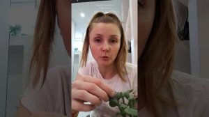 Чахнет Крассула / Толстянка, в чем была причина? #крассула #толстянка #денежноедерево #щитовка